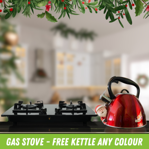 Christmas Gas Stove Combo